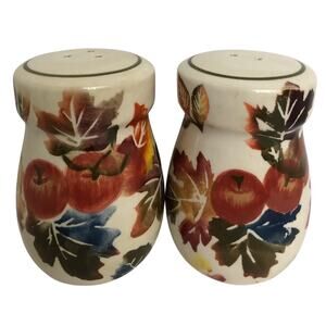 WCL Salt and Pepper Shakers Colorful Grapes and Leaves NEW Without Box